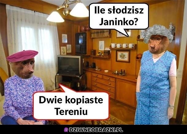 Ile słodzisz?