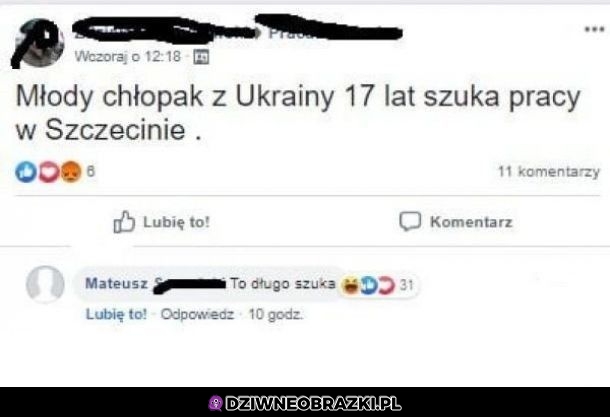 Trochę już szuka