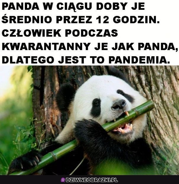I wszystko jasne