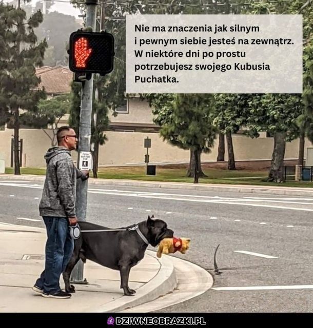 Są takie dni