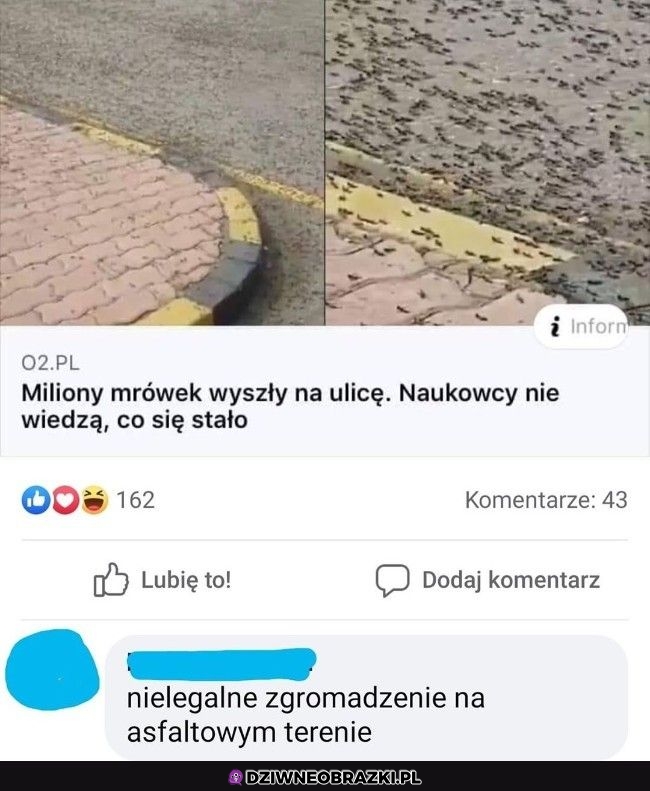 Dzwonię na policję