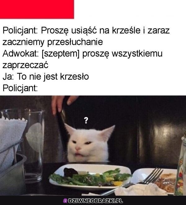 Zaprzeczaj