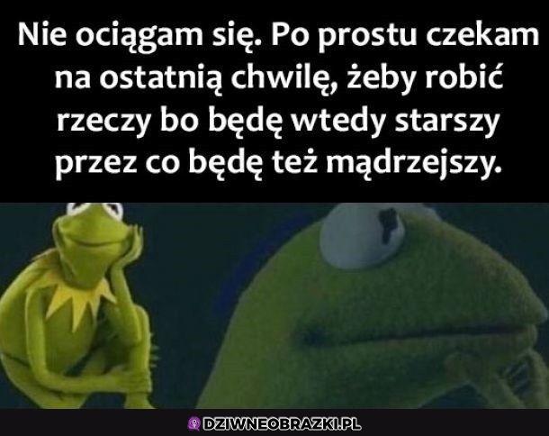 Dokładnie tak