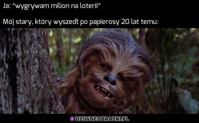 No cześć