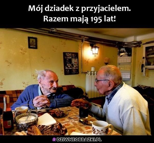 A ile z tego pamiętają?