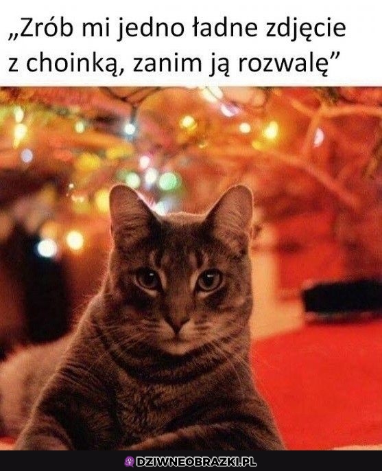 Zaraz polegnie