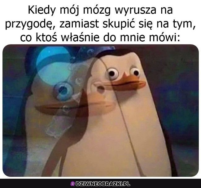 Kiedy mózg Cię oszukuje