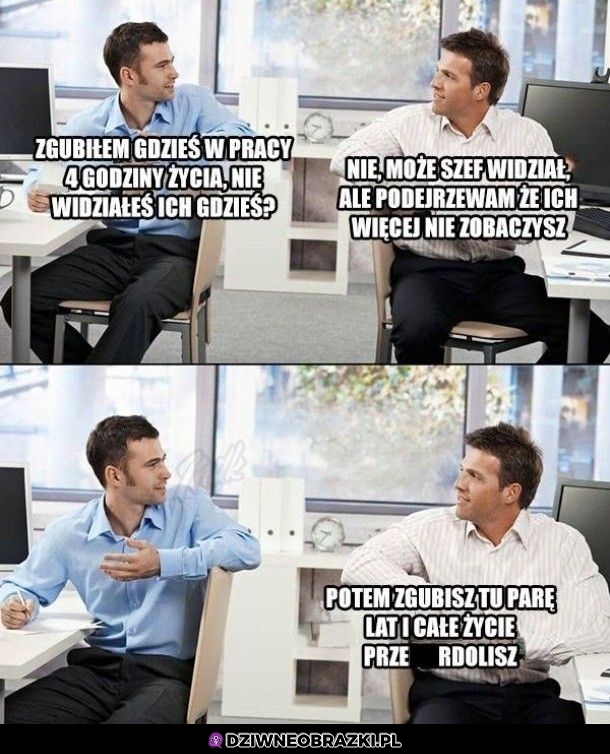 Zgubiły się