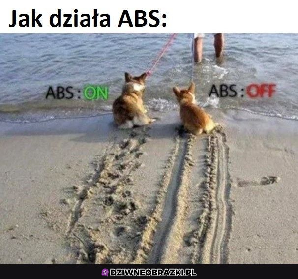 ABS