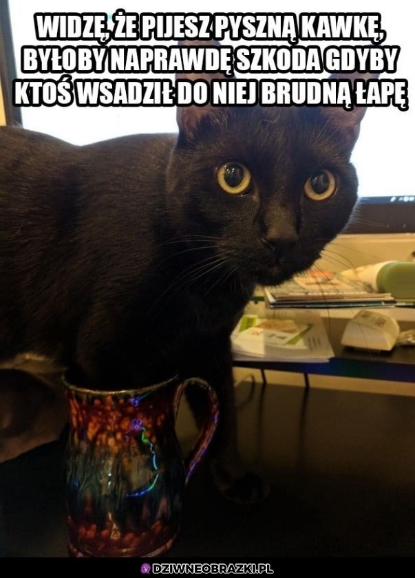 Szkoda by było