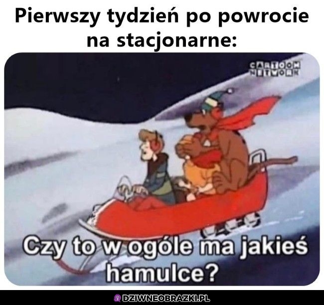 Tak to wygląda