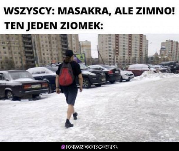 Zimno? Jakie zimno?