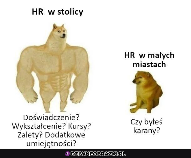 różnica w hr