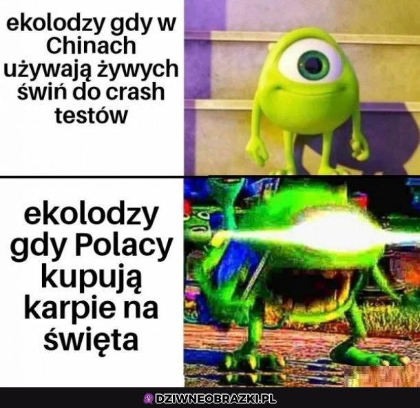 No i gdzie ci ekolodzy?