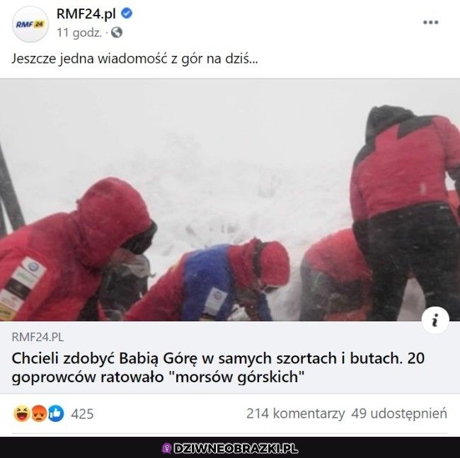 Brawo karyno