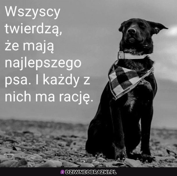 Dokładnie
