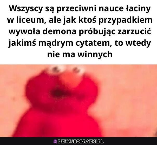 Jednak się przyda