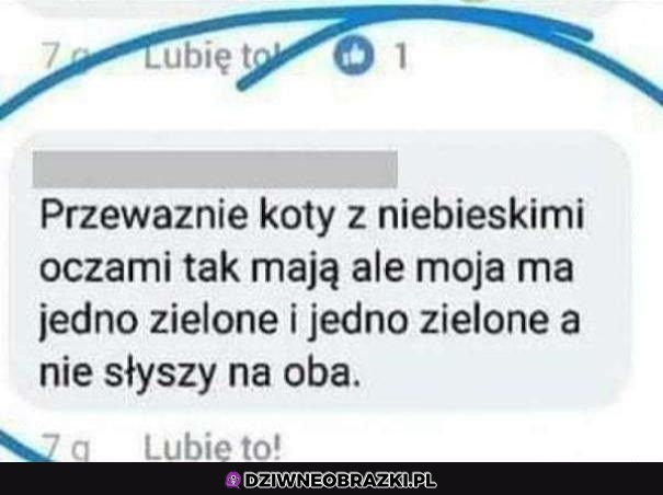 że co :o