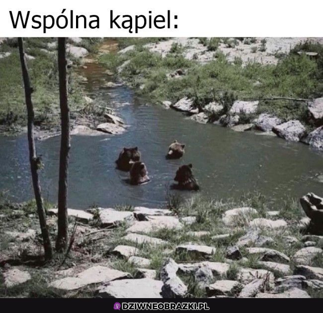 Wspólny chill 