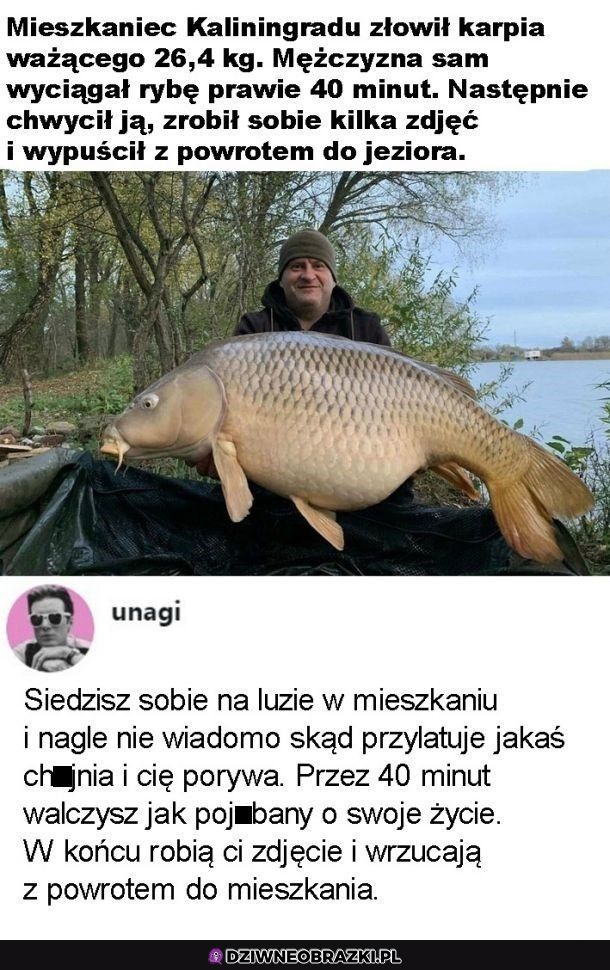 Co za akcja?