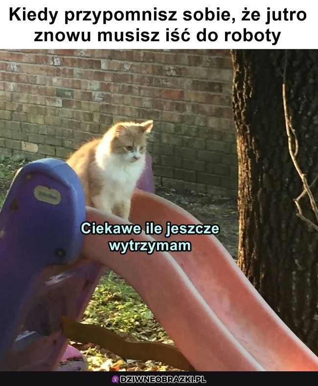 Najgorzej