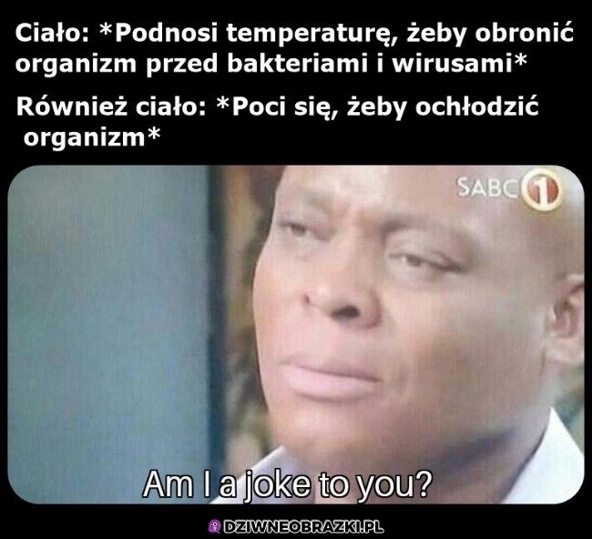 Niezdecydowane