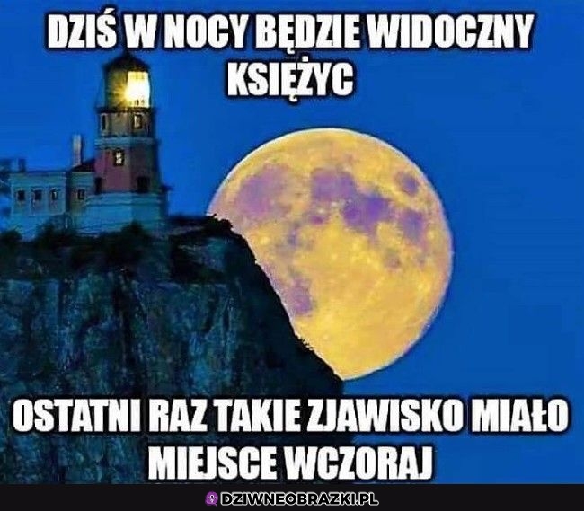 Niesamowite