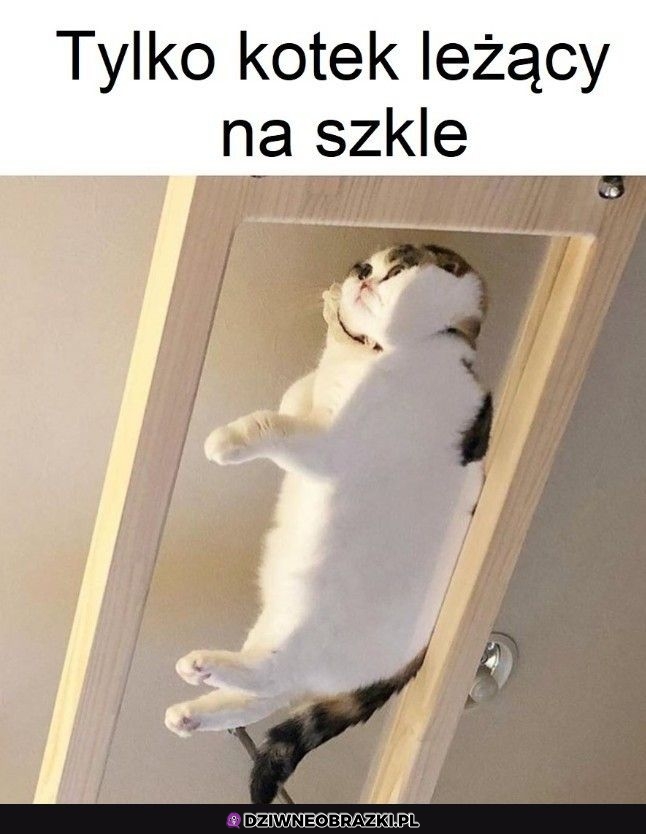 Ciekawy widok