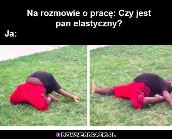 Pan patrzy na to