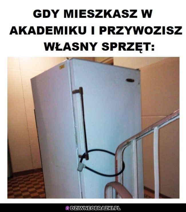 Mieszkanie w akademiku