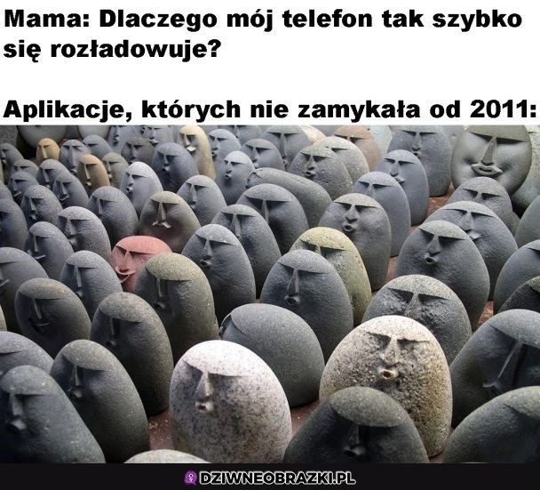 No ciekawe