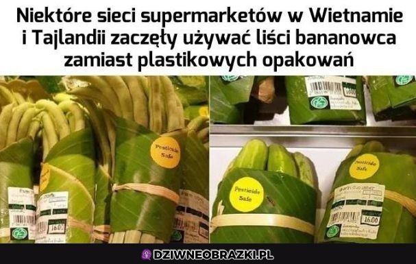 Szanuję