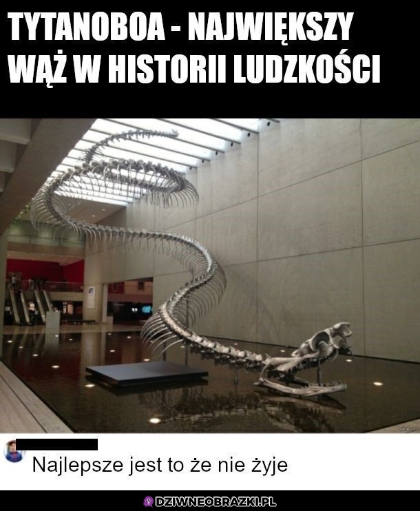 Najlepsze w nim jest właśnie to