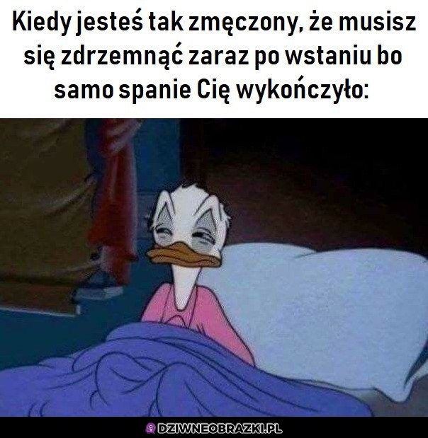 Ten poziom zmęczenia