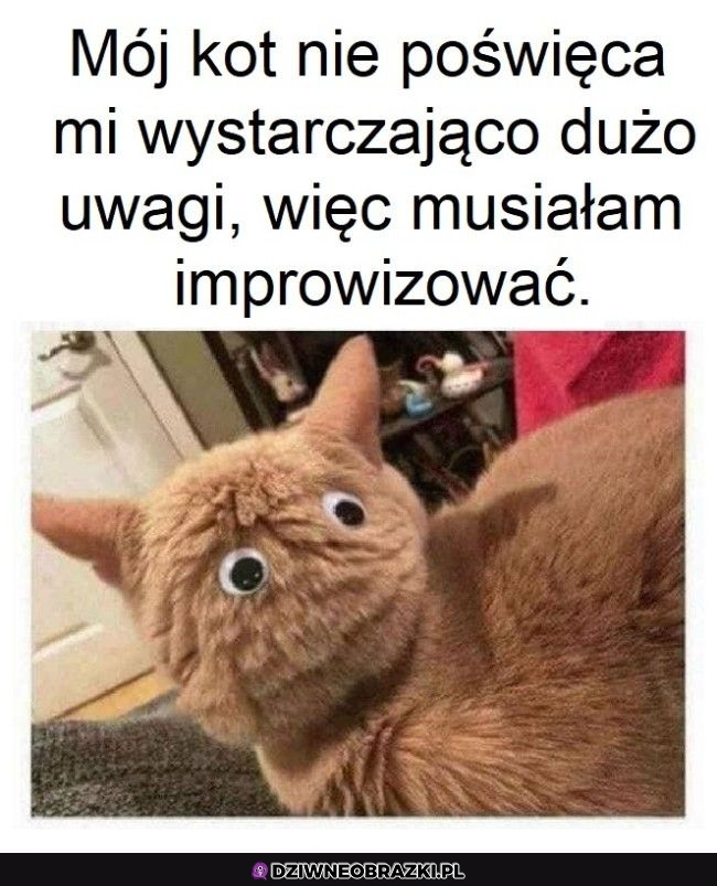 Ogarnięte