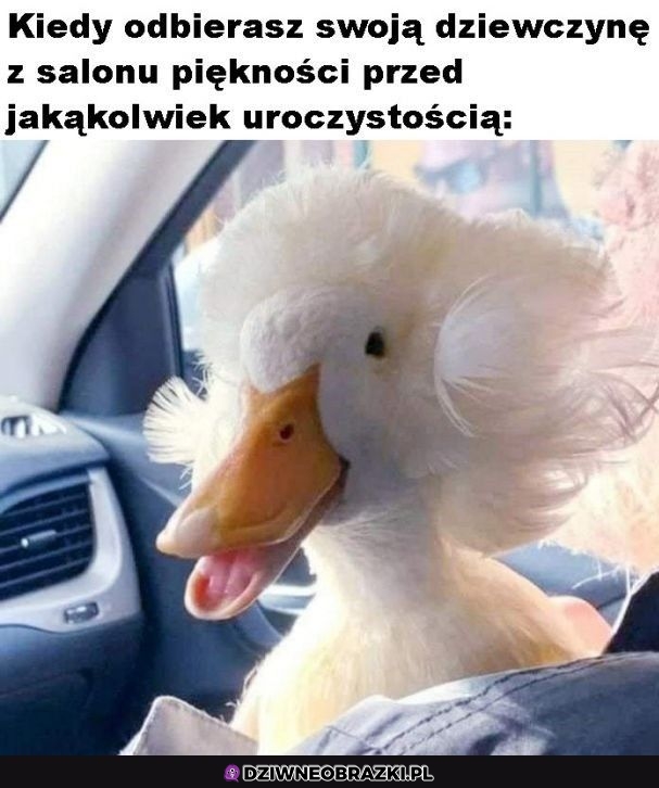 Ten moment
