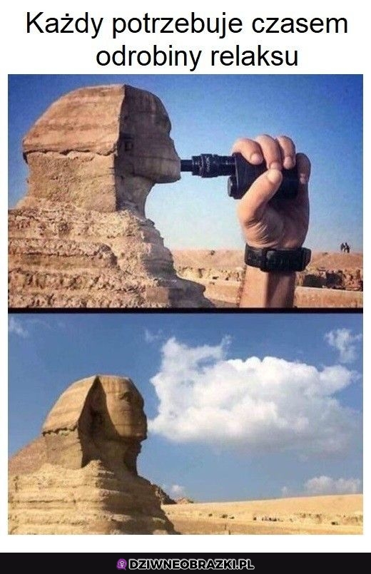 Każdemu potrzeba