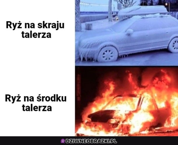 Ryż taki jest