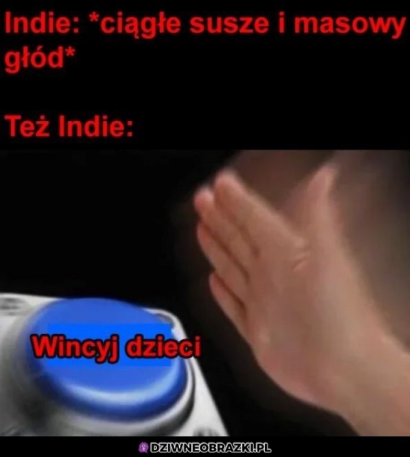 Może chociaż kilka przeżyje