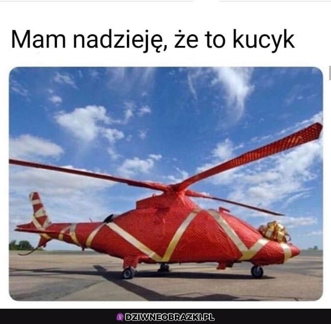 Oby to był kucyk