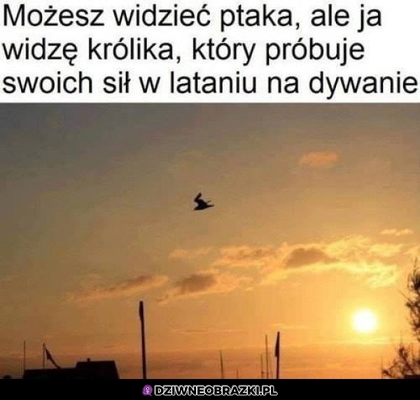 Nie zabronisz mi widzieć tego, co chcę