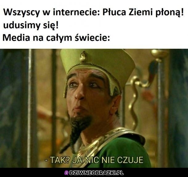 Pożary Amazonii