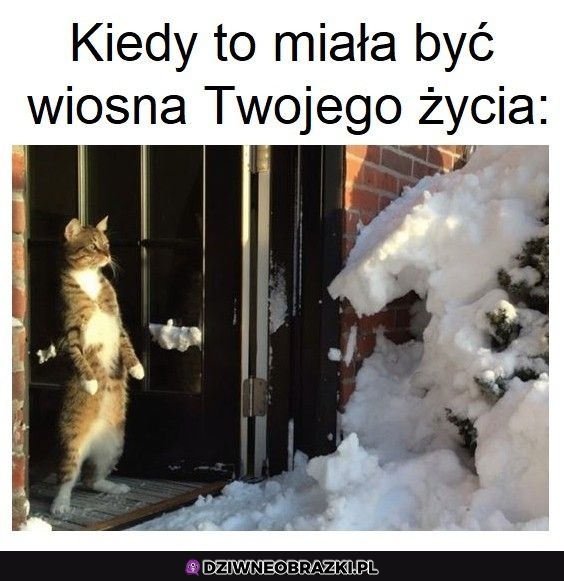 Ale coś nie idzie