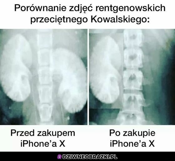 Fanboje powiedzą, że warto było