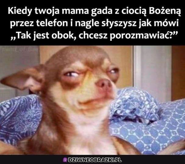 Ten moment