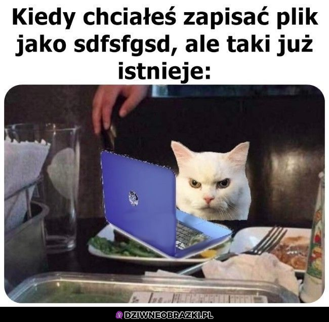 Znajome co?