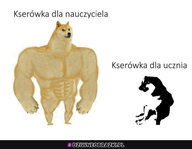 Zawsze tak wyglądają