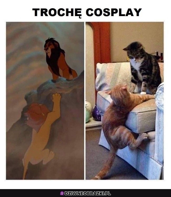 Trochę bardzo