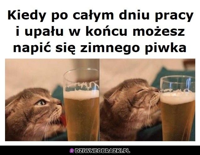 Ten moment