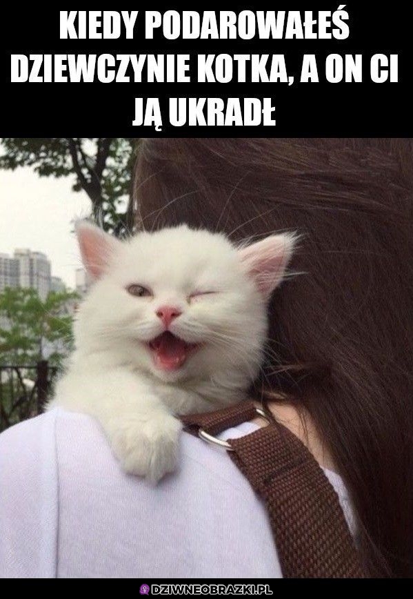 Przegrałeś koleś